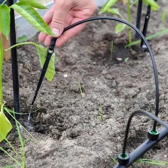 Капельный полив